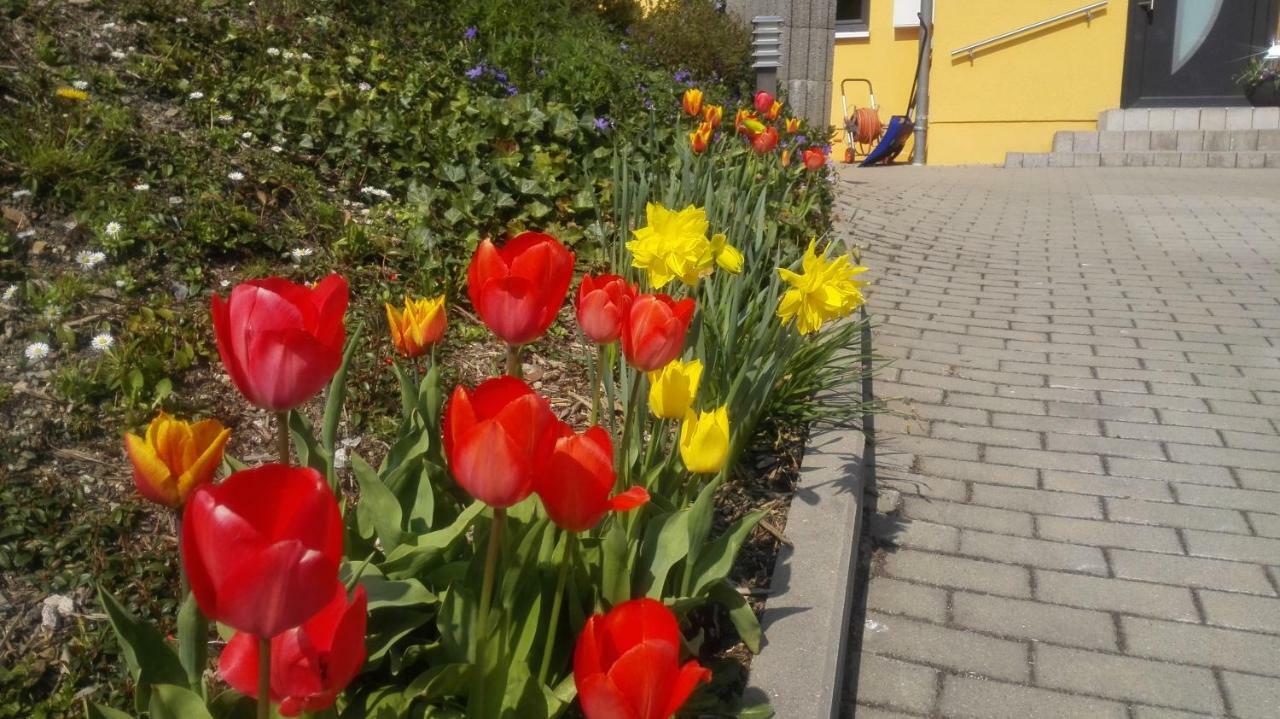 Oberpfannenstiel Apartment Bernsbach